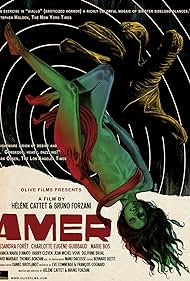 Amer (2010)