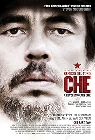 Che: Part Two (2009)